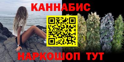 прущие грибы Краснознаменск