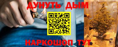 прущие грибы Краснознаменск