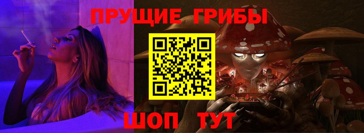 Галлюциногенные грибы Psilocybe  Вход с VPN  Ульяновск 